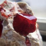 Granate, localidad: Sierra Mojada, Coahuila, México. Cristal del granate anterior, tamaño: 1.4cm x 1.5cm (Autor: Luis Domínguez)