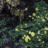 Yellow Mimetite on Azurite and Malachite. Tsumeb (Author: Gail)