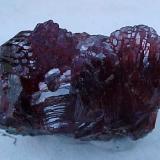 Rhodochrosite xls.
Hotazel mine
Republic of South Africa

The appx. size is 6cm. x 4 cm x 4 cm. Nice translucent specimen and deep red.
Rhodochrosite xls.
Hotazel mine
Republic of South Africa

The appx. size is 6cm. x 4 cm x 4 cm. Nice translucent specimen and deep red. (Author: Val)