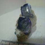 fluorite bicolor.
Naica Chihuahua Mexico.
Year: 2005 (Author: javmex2)