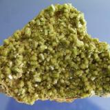 Piromorfita.
Mina Resuperferolítica; Santa Eufemia, Córdoba, Andalucía, España.
Tamaño de la pieza 7x5x2 cm.
Cristales hasta 5 mm. Col. y foto Nacho Gaspar. (Autor: Nacho)
