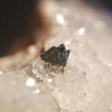 Tetraedrita, !Freibergita!
mina Verdad de los Artistas, Hiendelaencina, Guadalajara, Castilla-La Mancha.
cristal 5 mm. (Autor: Nieves)