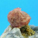 Espinela rosa
Sierra de Mijas - Málaga - Andalucía - España
Detalle -  Cristal de 2.5 cm (Autor: Diego Navarro)