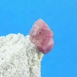 Espinela rosa
Sierra de Mijas - Málaga - Andalucía - España
Cristal de 1.1 cm (Autor: Diego Navarro)