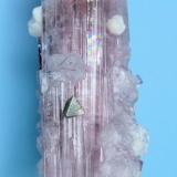 Elbaíta, lepidolita, microlita
Paprok, Kunar Valley, Nuristan Province, Afganistán
100 mm x 24 mm

Octaedro de microlita (5 mm de arista) (Autor: Carles Millan)