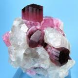 Elbaite, quartz, feldspar, schorl
Male, about 80 km south of Mogok, Sagaing District, Mandalay Division, Burma (currently Myanmar)
61 mm x 60 mm x 52 mm. Main elbaite crystal: 17 mm wide, 20 mm tall (Author: Carles Millan)