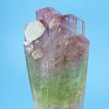 Elbaite, lepidolite, microlite.
Paprok, Kunar Valley, Nuristan Province, Afghanistan
100 mm tall x 24 mm wide in the widest point. Microlite crystal: 5 mm on edge

Upper tip close-up view (Author: Carles Millan)