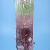 Elbaite, lepidolite, microlite.
Paprok, Kunar Valley, Nuristan Province, Afghanistan
100 mm tall x 24 mm wide in the widest point. Microlite crystal: 5 mm on edge

Side view (Author: Carles Millan)