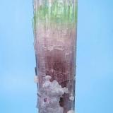 Elbaite, lepidolite, microlite.
Paprok, Kunar Valley, Nuristan Province, Afghanistan
100 mm tall x 24 mm wide in the widest point. Microlite crystal: 5 mm on edge

Side view (Author: Carles Millan)