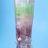 Elbaite, lepidolite, microlite.
Paprok, Kunar Valley, Nuristan Province, Afghanistan
100 mm tall x 24 mm wide in the widest point. Microlite crystal: 5 mm on edge

Frontal view (Author: Carles Millan)