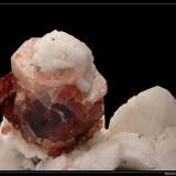 Garnet with apatite and albite
Shigar Valley, Pakistan
Garnet: 3 cm

Matrix is quartz cristal in fact. (Author: ploum)