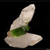 Tourmaline bicolor doubly terminated and quartz doubly terminated
fov 5 cm (Author: ploum)