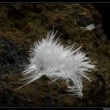 Aragonite
Coubon, Haute-Loire, France
fov 10 mm (Author: ploum)