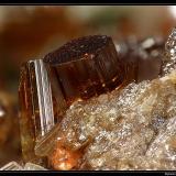 Vesuvianite
Bellecombe, Val d’Aosta, Italy
fov 5 mm (Author: ploum)