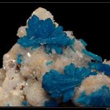 Cavansite on stilbite
Poona, Maharahstra, India
fov: 25 mm (Author: ploum)