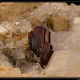 Brookite on quartz
Quetta, Balouchistan, Pakistan
3 cm (Author: ploum)
