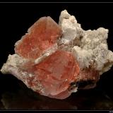 Fluorite rose
Secteur de l&rsquo;Aiguille Verte, Chamonix, France
5 cm (Author: ploum)