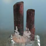 One of my favorites. 2 dark red / cranberry tourmalines on lepidolite matrix.  Both of these have gemmy tops, and perfect terminations. The smaller xtal has one repair. This piece is from Xanda Mine, Virgem de Lapa, Minas Gerias Brazil. Dimensions are 8.9 x 5.1 x 5 cm and weight is 105 grams. One picture is in the case with backlight. (Author: VRigatti)