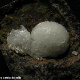 Calcita.
Pedrera Can Súria, Maçanet de la Selva, La Selva, Girona, Catalunya, España.
Diámetro del cristal mayor 1 cm. (Autor: Frederic Varela)