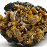 Piromorfita.
Mina Les Farges.
Ussel.
Correze.
Limousin.
Francia.
Tamaño 4x3 cm. (Autor: Jose Luis Otero)