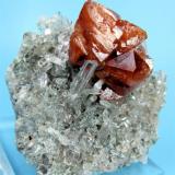 Scheelite, quartzPari, Khaplu, Distrito Ghanche, Gilgit-Baltistan (Áreas del Norte), Paquistán60 mm x 50 mm x 27 mm. Scheelite crystal aggregate: 35 mm (Author: Carles Millan)