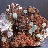 Austinite, Ojuela Mine, Mun de Mapimi, Durango, Mexico. 6.6 x 5 x 2 cm,  these Austinite clusters seem to glow from within. (Author: nurbo)