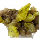 Sulfur, aragonite
Cozzodisi Mine, Casteltermini, Girgenti Province, Sicily, Italy
100 mm x 60 mm x 60 mm. Main sulfur crystal: 44 mm long, 19 mm wide (Author: Carles Millan)