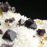 Espinela Violeta + Clinohumita
Sierra de Mijas - Málaga - Andalucía - España
Detalle - Cristales de 0.5 cm (Autor: Diego Navarro)