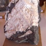 Feldspato (quizá albita) en roca. Muestra con 15 cm. Origen desconocida (Autor: Anisio Claudio)