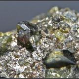 Detalle  de un cristal de Augita (variedad Fassaita) de 8mm (Autor: Mijeño)