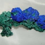 Azurite and malachite, Milpillas Sonora Mexico. 8cm size. (Author: javmex2)