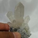 Quartz, Chihuahua Mexico Naica, size 9cm. (Author: javmex2)