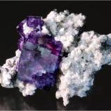 A cluster of dark purple, gemmy fluorites on muscovite matrix from Yaogangxian Mine, Hunan province China. It measures 6.5 x 5.8 x 3.5 cm and weighs 65 grams. (Author: VRigatti)