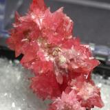 Rhodochrosite
from Peru
size about 3.3x1.8x1.7 cubic cm
the dealer only said it is from Peru.but such form is rare for me, so I wondered the loaction is worng or not.coz it looks like the Germany ones. (Author: pro_duo)