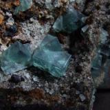 Twinned Rogerley Fluorites to 15 mm (Author: nurbo)