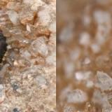 Anatase from Poudrette quarry (Demix quarry; Uni-Mix quarry; Desourdy quarry), Mont Saint-Hilaire, Rouville RCM, Montérégie, Québec, Canada
FOV=3mm (Author: Doug)
