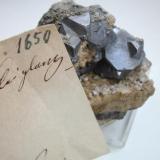 Galenite xls (up to 2 cm) on dolomite from Siegen, Siegerland, Westphalia. Former F.J. Kessler collection via Senckenberg Museum/Frankfurt. (Author: Andreas Gerstenberg)