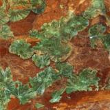 Detalle de la Malaquita (Autor: Juan C. Agua)