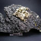 Pirita sobre magnetita. Mina La Herrería. Burguillos del Cerro. Pieza: 19 x 11cm. Cristal mayor de pirita: 2 cm. (Autor: Juan Cabezas)
