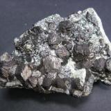 Magnetita. Mina La Herrería. Burguillos del cerro. Pieza: 8 x 6 cm. Cristal mayor: 13 mm. (Autor: Juan Cabezas)