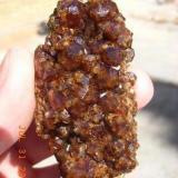 Granate,7x4cm. Mina Isabelita, Burguillos del Cerro, Badajoz. (Autor: J.L.Carrizo)