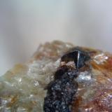 Casiterita, cristal de 5 milimetros - Valdeazores, Cáceres (Autor: apita)
