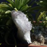 Puesta al solito de mi terraza... (Autor: Juan C. Agua)