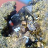 Epidota, 5 milimetros cristal, Mina La Judía, Burguillos del Cerro, Badajoz (Autor: apita)