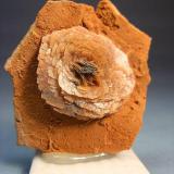 Barita. Mina Victoria. Estrecho de San Ginés. Cartagena. Murcia. Pieza: 3 x 3 cm. (roseta de 2 x 2 cm). (Autor: Juan Cabezas)