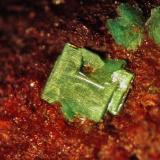 MetazeuneritaSan José Mine, Puerto de Eslida, Chóvar, Comarca Alto Palancia, Castellón / Castelló, Valencian Community / Comunitat Valenciana, SpainCristal de 2 mm. (Autor: Rafa Muñoz(mineralvarado))