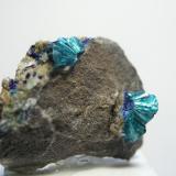 Tirolita<br />Mina La Amorosa, Concesión San Rafael, Villahermosa del Río, Comarca Alto Mijares, Castellón / Castelló, Comunidad Valenciana / Comunitat Valenciana, España<br />Pieza de 4 x 4 cm., bolas de 7 mm.<br /> (Autor: Adrian Pesudo)