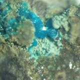 Richelsdorfita
Villahermosa del Río, Castellón, Comunidad Valenciana, España.
Estos cristales de bello color azul han sido analizados con el resultado de richelsdorfita. Las pequeñas bolitas verde claro que los acompañan todavía están pendientes de análisis. (Autor: Adrian Pesudo)