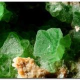 Fluorita.Pedrera Berta, Turó de Can Domènech, Serra de Roques Blanques, Sant Cugat del Vallès-El Papiol, Comarca Vallès Occidental / Baix Llobregat, Barcelona, Cataluña / Catalunya, EspañaCristal mayor 12 mm (Autor: Rafa Muñoz(mineralvarado))