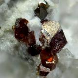 AnatasaCantera de As Pontes, A Coruña, Municipio A Coruña, Comarca A Coruña, La Coruña / A Coruña, Galicia / Galiza, EspañaCristal 0,7mm (Autor: Rafa Muñoz(mineralvarado))